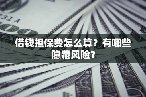 武汉借钱担保费怎么算？有哪些隐藏风险？