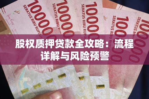 武汉股权质押贷款全攻略：流程详解与风险预警