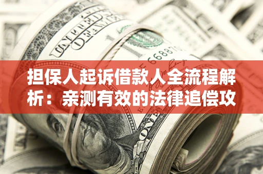 武汉担保人起诉借款人全流程解析：亲测有效的法律追偿攻略