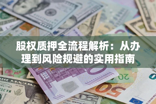 武汉股权质押全流程解析：从办理到风险规避的实用指南
