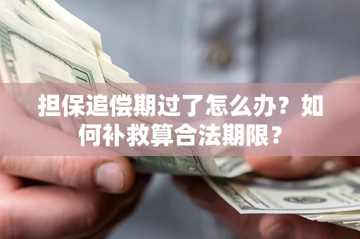 武汉担保追偿期过了怎么办？如何补救算合法期限？