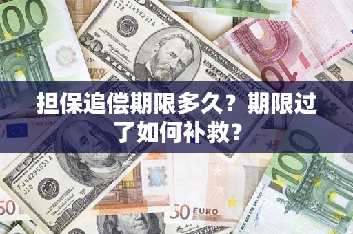 武汉担保追偿期限多久？期限过了如何补救？