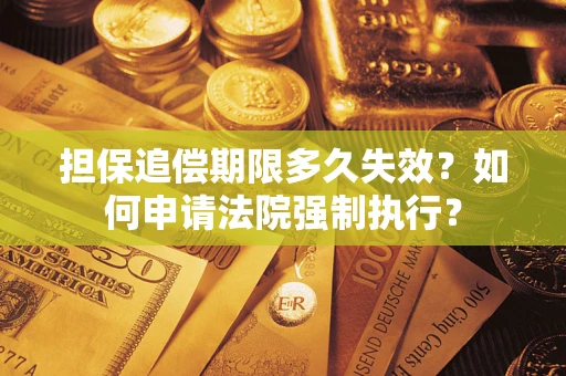 武汉担保追偿期限多久失效？如何申请法院强制执行？