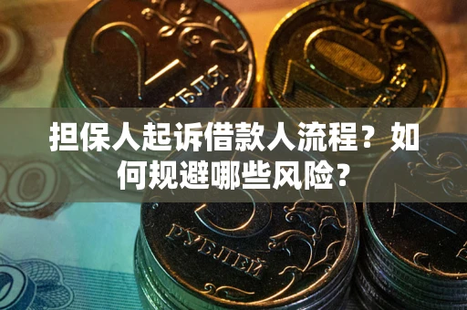 武汉担保人起诉借款人流程？如何规避哪些风险？