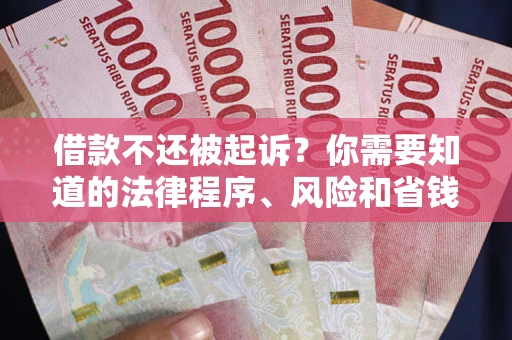 武汉借款不还被起诉？你需要知道的法律程序、风险和省钱技巧