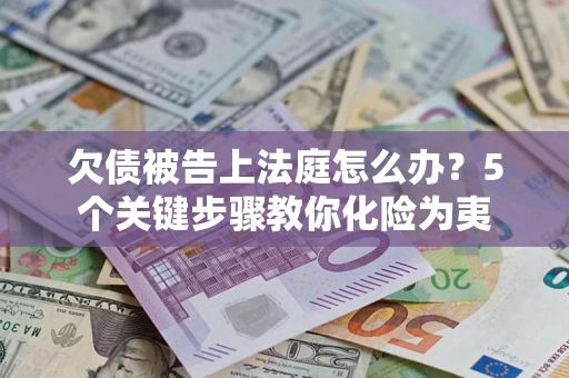 武汉欠债被告上法庭怎么办？5个关键步骤教你化险为夷